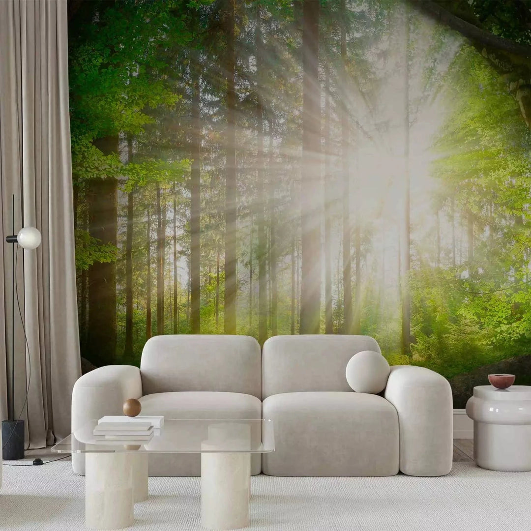 Fototapetes - skata uz meža ainava ar kokiem un spīdošu sauli - zaļā G-ART