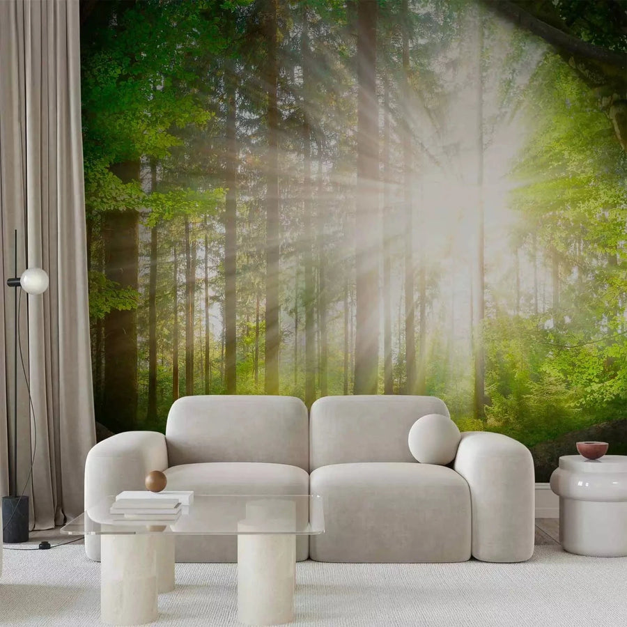 Fototapetes - skata uz meža ainava ar kokiem un spīdošu sauli - zaļā G-ART