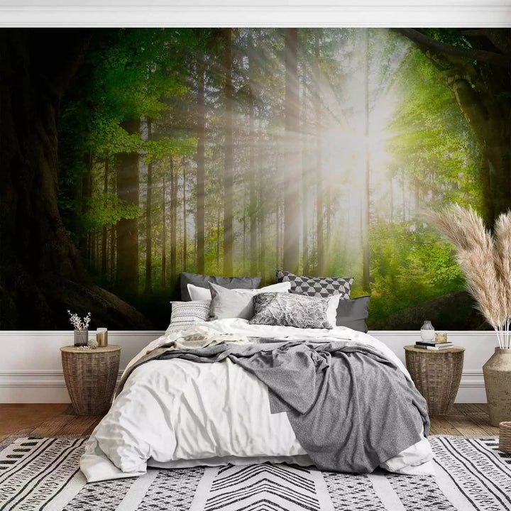 Fototapetes - skata uz meža ainava ar kokiem un spīdošu sauli - zaļā G-ART
