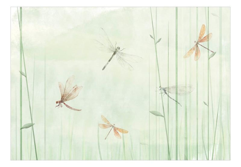 Wall Murals - Dragonfly meadow (green), 142555 G-ART