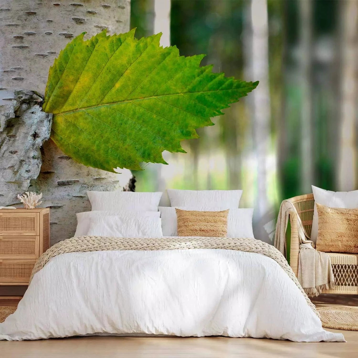 Fototapetes - Spilgta meža ainava ar bērzu un saules stariem G-ART