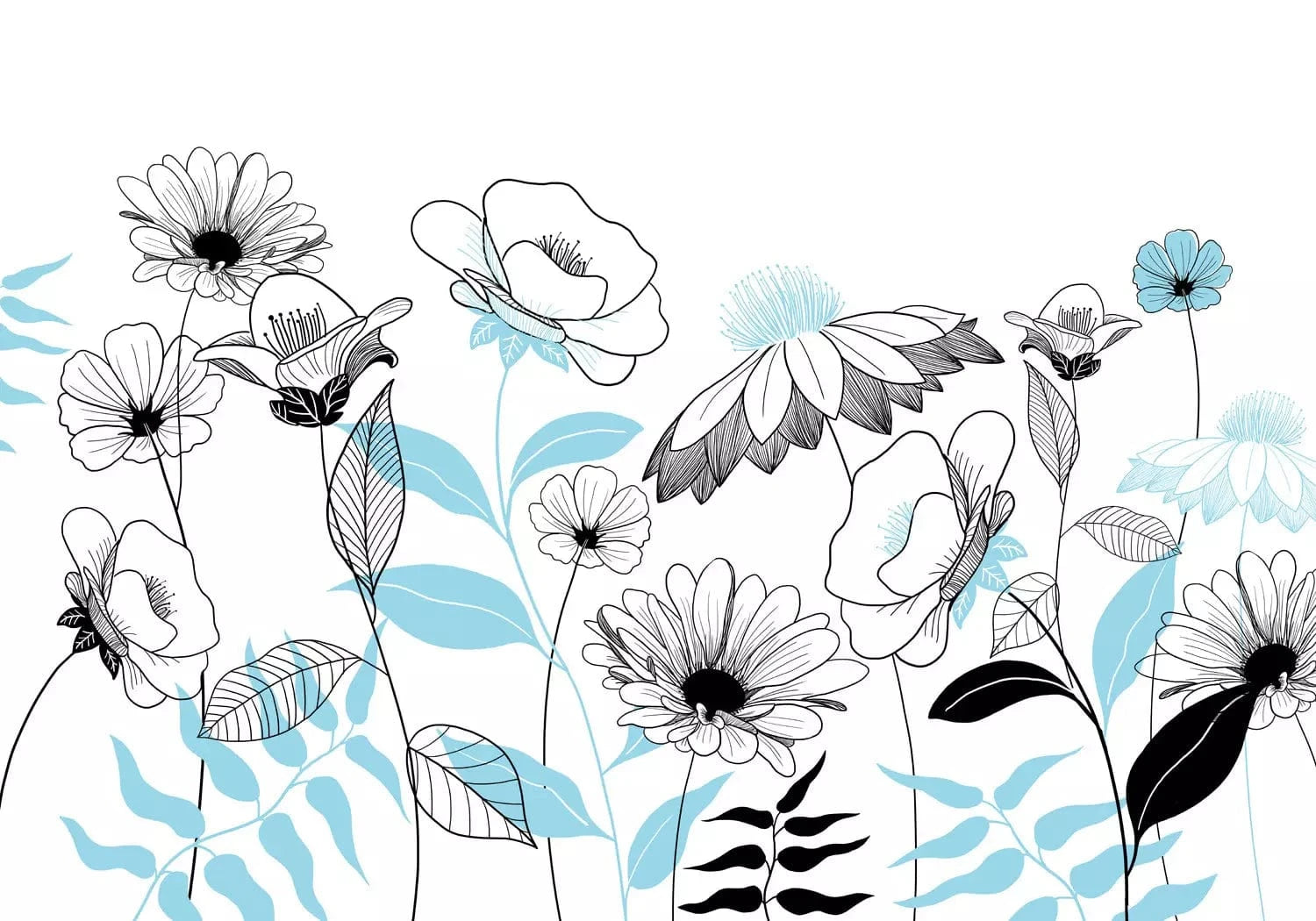 Fototapetes - stilizēti pļavas ziedi melnā un zilā krāsā un balta fona - 138340 G-ART