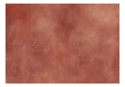 Wall Murals - Textured background in terracotta, 159458 G-ART