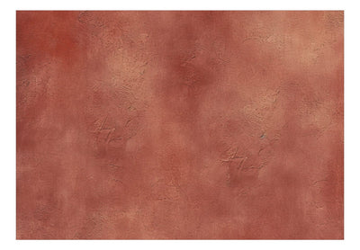 Фотообои - Текстурированный фон терракотового цвета, 159458 G-ART