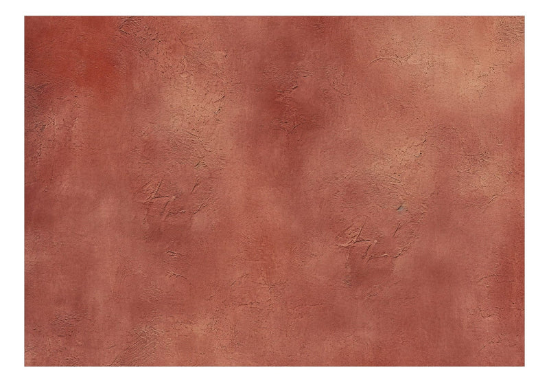Fototapetai - Terakotos tekstūrinis fonas, 159458 G-ART