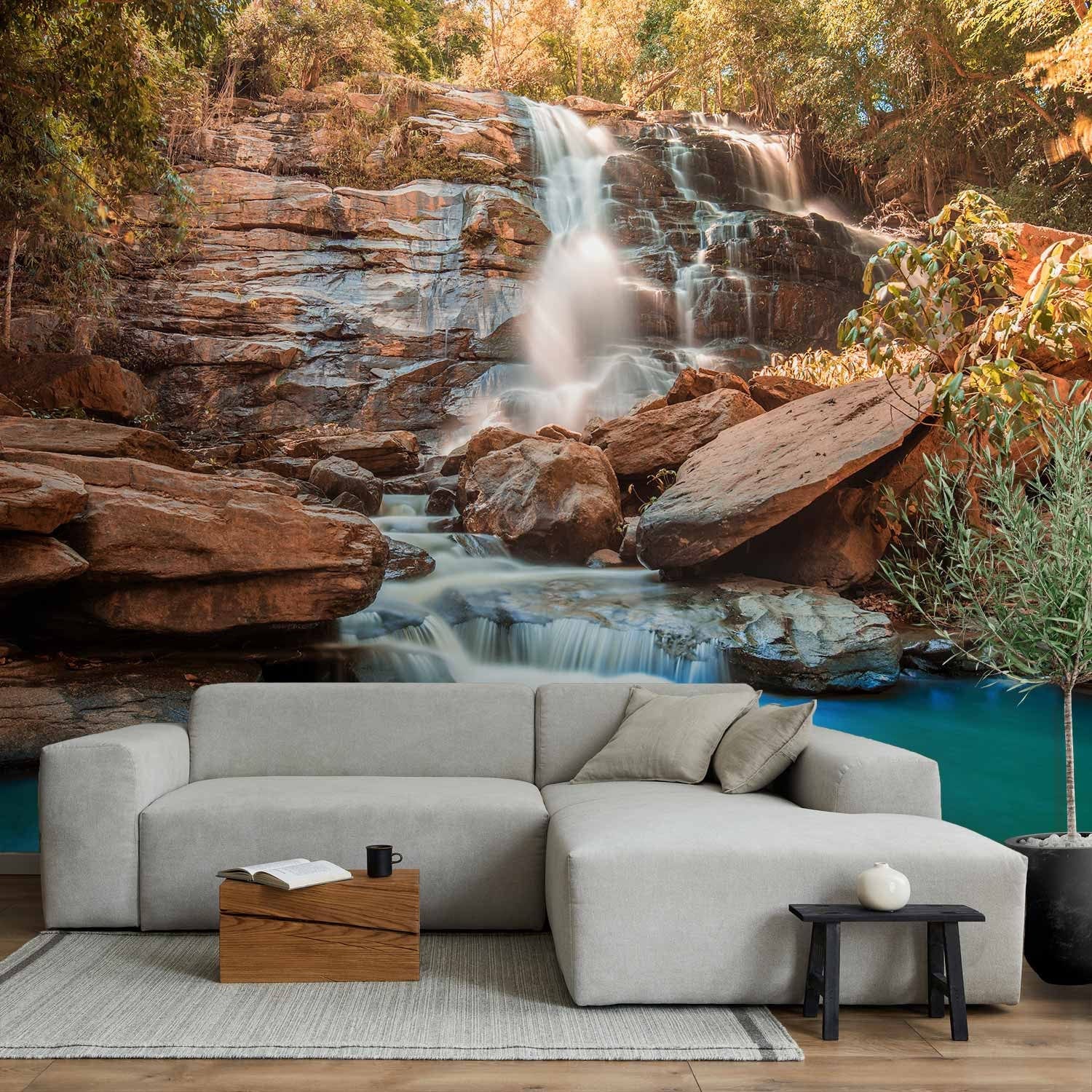 Wall Murals