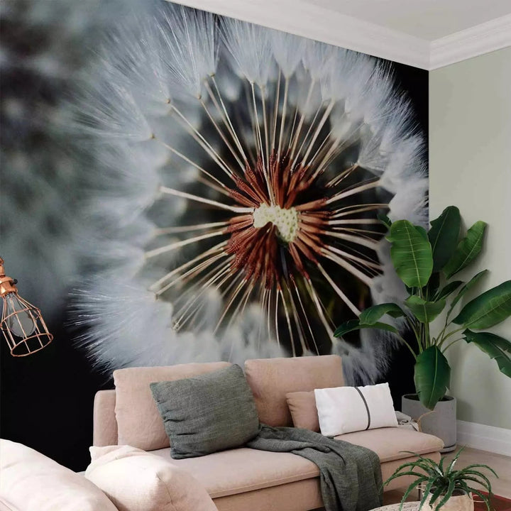 Fototapetes - Tuvplāns ar pienenēm uz melna fona - interjerā G-ART