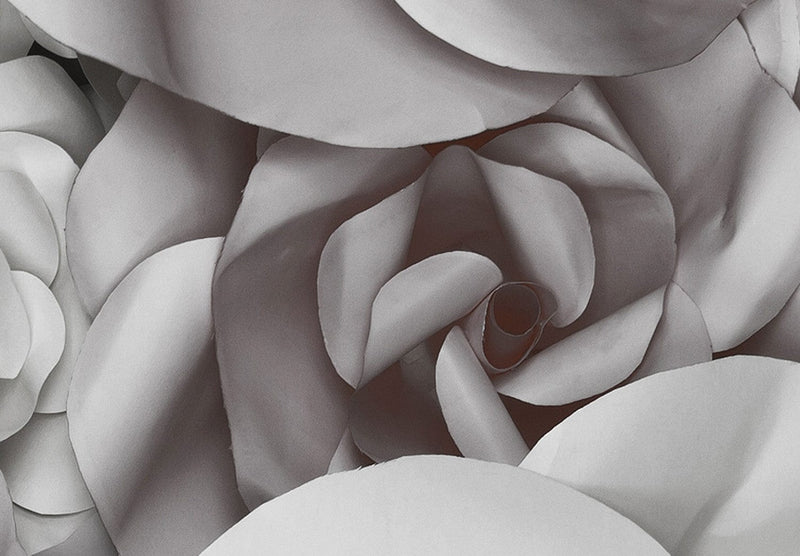 Fototapetes - Vienkrāsains raksts ar ziedu ziedlapiņām, 137476 G-ART