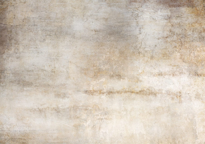 Fototapetes ar vintāžas apmetuma efektu bēšos toņos | Tapetenshop.lv G-ART