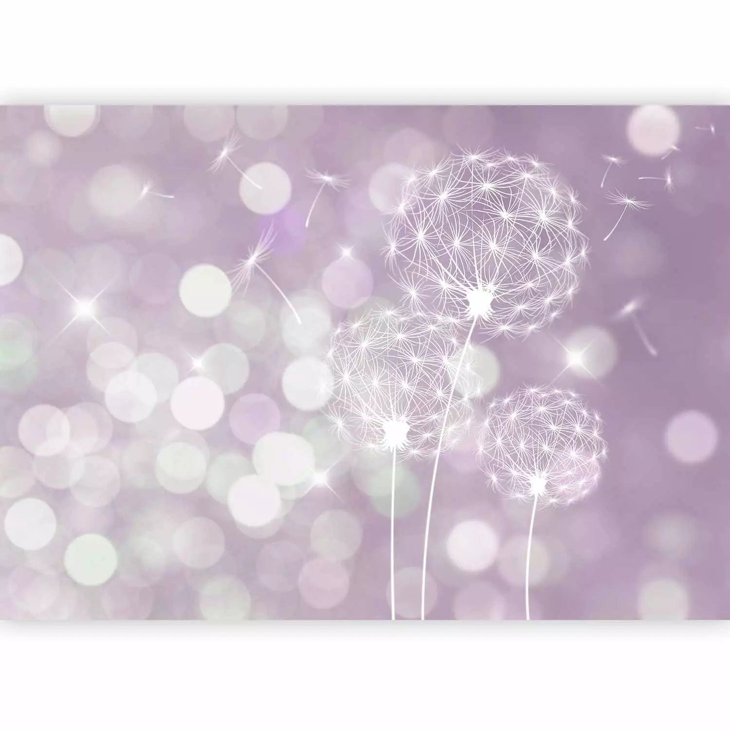 Fototapetes ar pienenēm - Violetas pienenes, 64617 G-ART