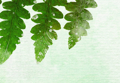 Фотообои в зеленых тонах - Лист папоротника, 143163 G-ART