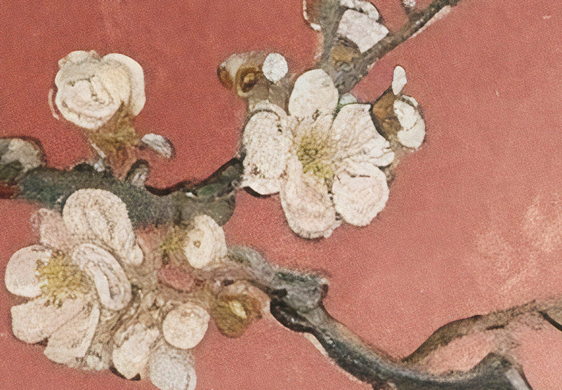 Valokuvatapetti - Kukkiva puu - sommitelma terrakotta, 159454 G-ART