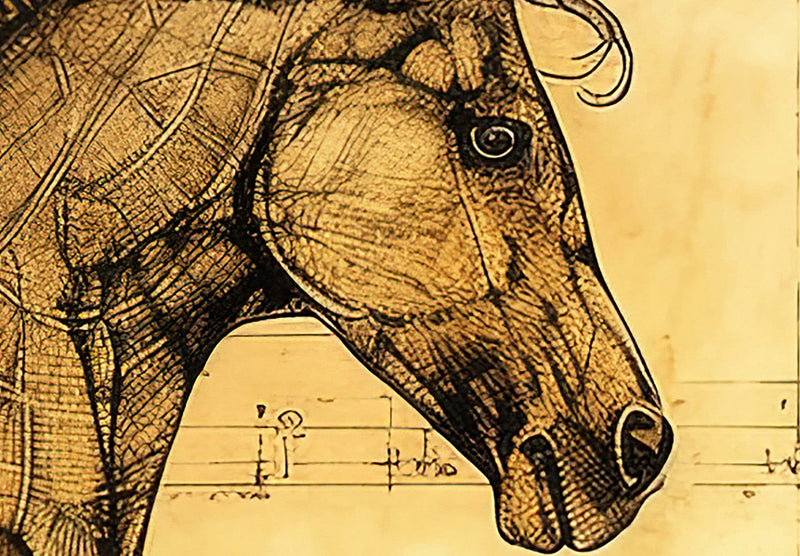 Fototapetes - Zirga skice Da Vinči stilā, 151025 G-ART
