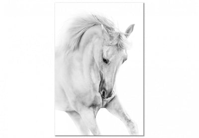 Glezna ar zirgu - Balts zirgs (x 1) G-ART.