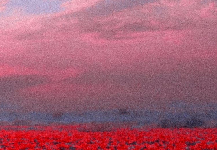 Glezna uz akrila stikla ar sarkaniem ziediem - Mīlestības upe, 92509 Artgeist