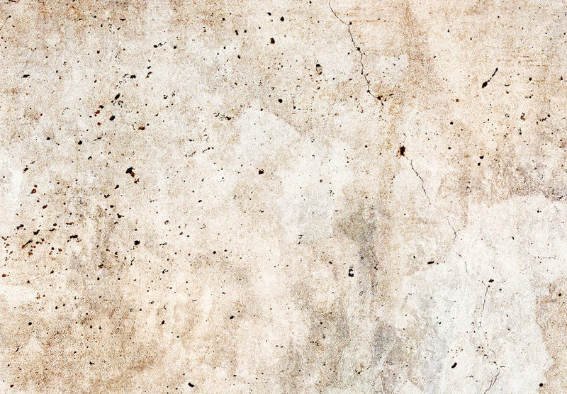 Maalaus akryylilasi - Rust rakenne - abstraktio pastelli ruskean sävyjä, 151503 Artgeist