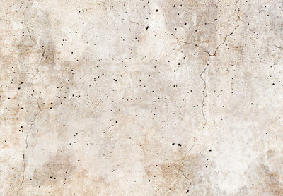 Glezna uz akrila stikla - Rūsas tekstūra - abstrakcija pasteļbrūnos toņos, 151503 Artgeist
