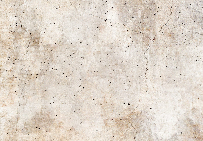 Tapyba ant akrilo stiklo - rūdžių tekstūra - pastelinių rudų tonų abstrakcija, 151503 Artgeist