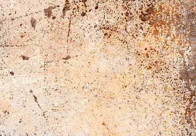 Painting on acrylic glass - Rust texture in sepia and grey, 151500 Artgeist