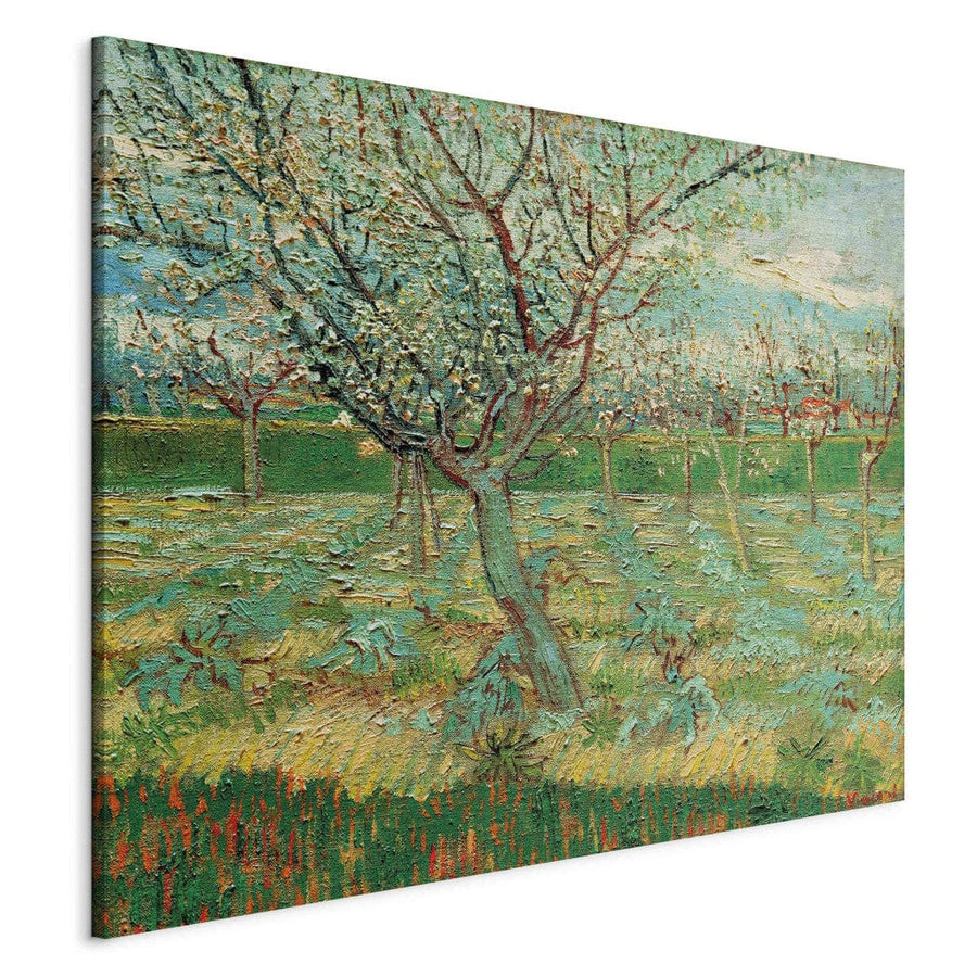Gleznas reprodukcija /Vinsents van Gogs/ - Augļu dārzs ar ziedošām aprikozēm G ART