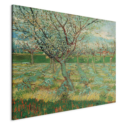 Tapybos atkūrimas (Vincentas van Gogas) - vaisių sodas su žydinčiais abrikosų G menu