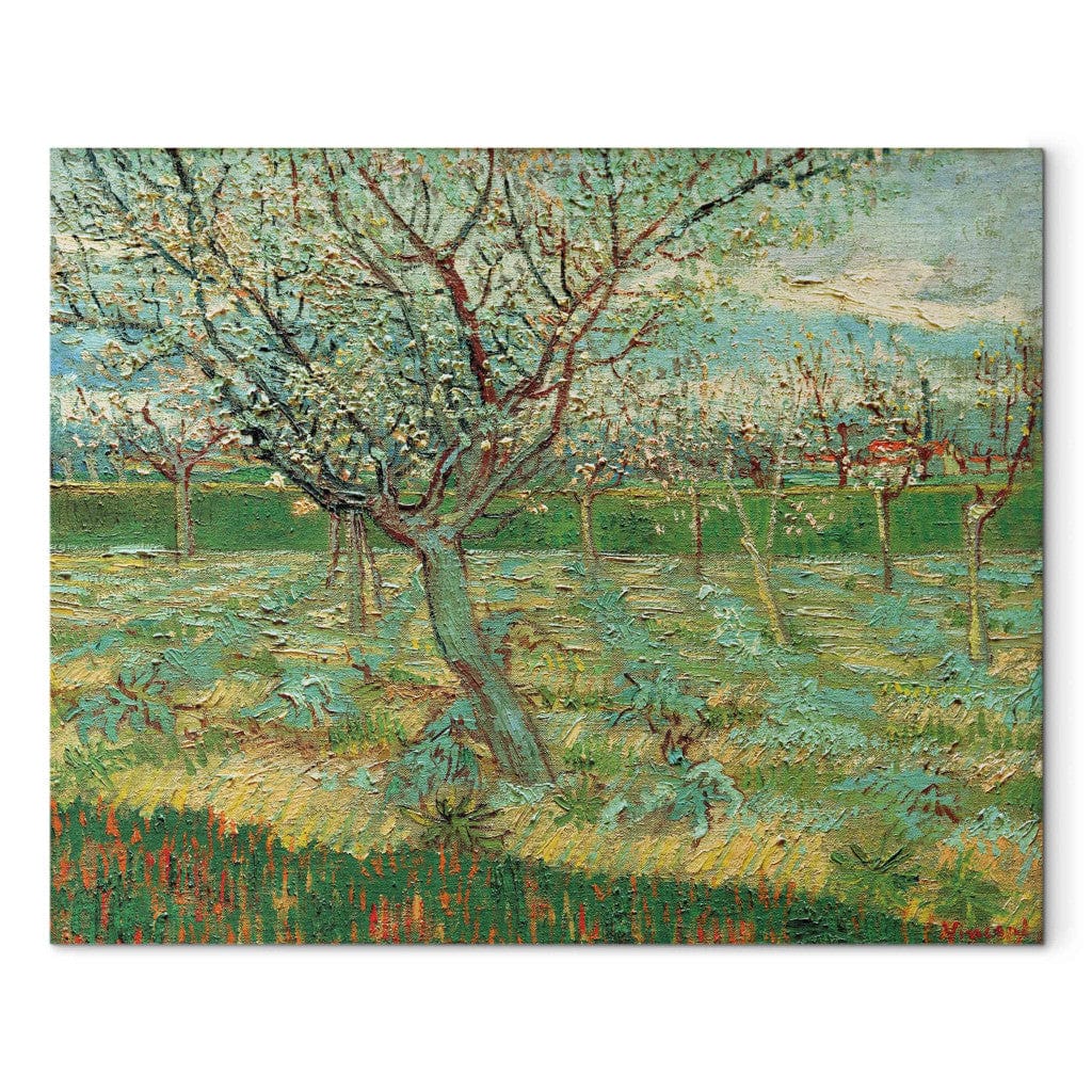 Gleznas reprodukcija /Vinsents van Gogs/ - Augļu dārzs ar ziedošām aprikozēm G ART