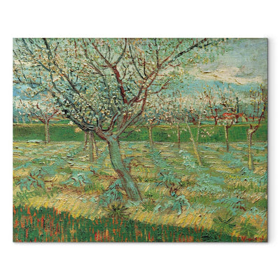 Gleznas reprodukcija (Vinsents van Gogs) - Augļu dārzs ar ziedošām aprikozēm G ART