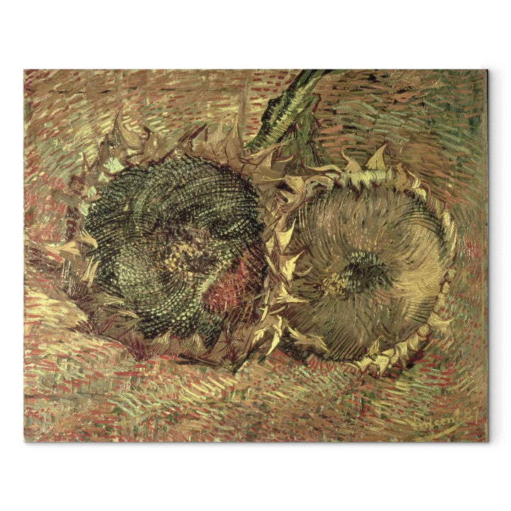 Gleznas reprodukcija /Vinsents van Gogs/ - Divas grieztas saulespuķes G ART