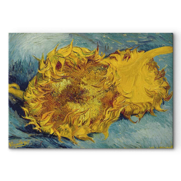 Gleznas reprodukcija /Vinsents van Gogs/ - Divas saulespuķes G ART