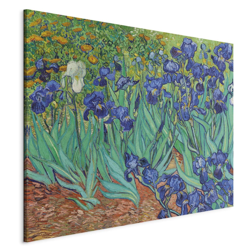 Gleznas reprodukcija /Vinsents van Gogs/ - Īrisi G ART