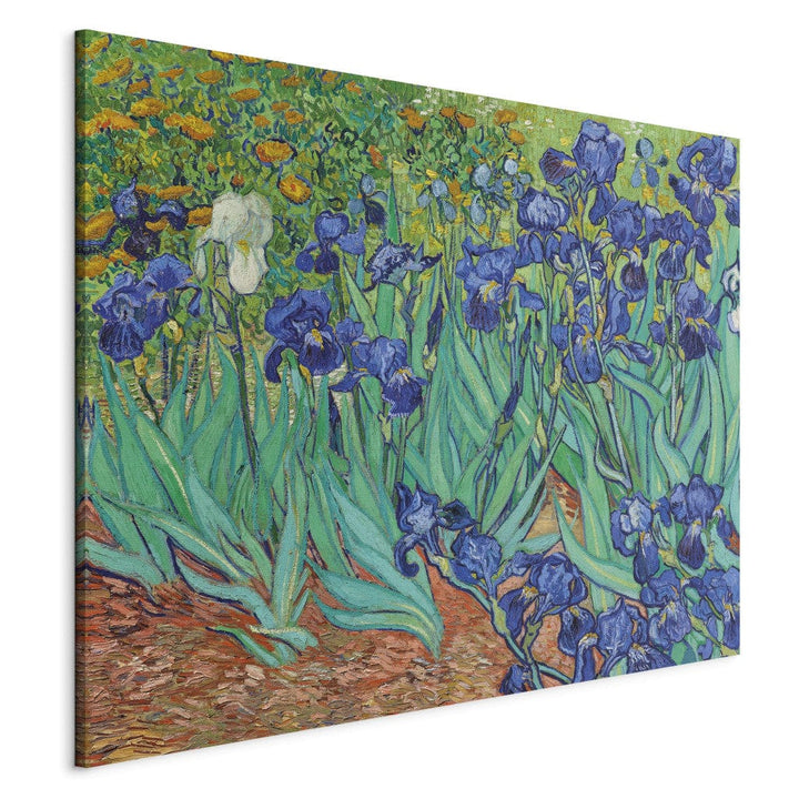 Gleznas reprodukcija /Vinsents van Gogs/ - Īrisi G ART