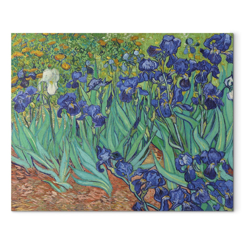 Gleznas reprodukcija /Vinsents van Gogs/ - Īrisi G ART
