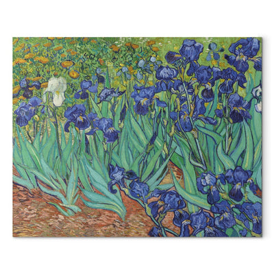 Maali reprodutseerimine (Vincent Van Gogh) - Iris G Art