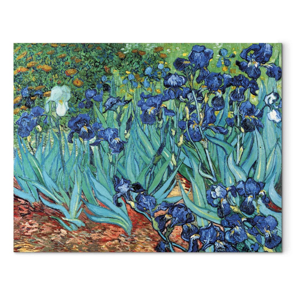 Gleznas reprodukcija /Vinsents van Gogs/ - Īrisi - Sen Remī G ART
