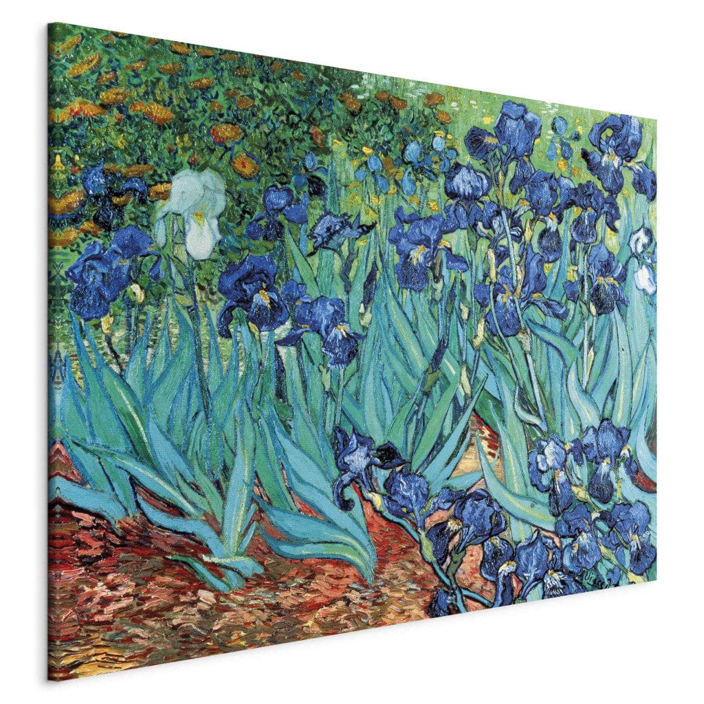 Gleznas reprodukcija /Vinsents van Gogs/ - Īrisi - Sen Remī G ART