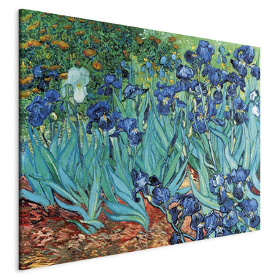 Reproduction of painting (Vincent van Gogh) - Iris - long reminding g art