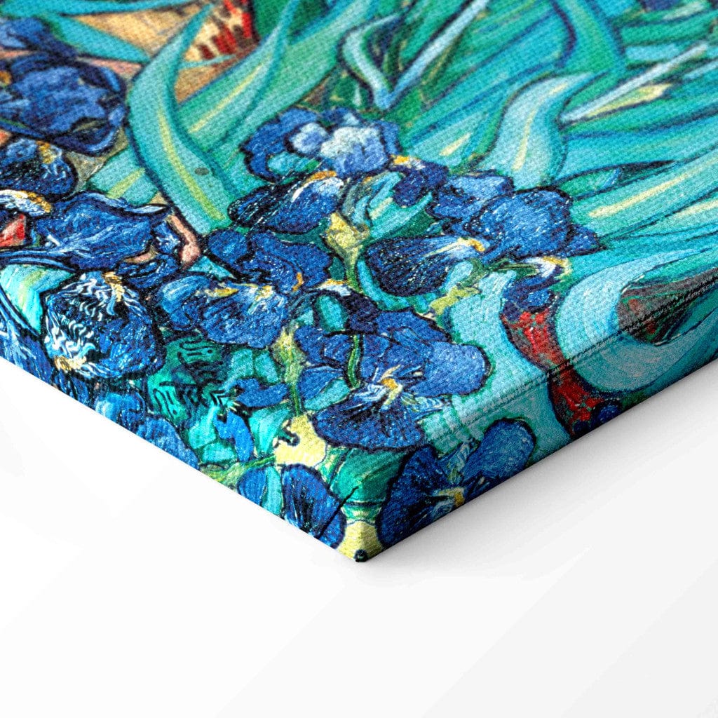 Gleznas reprodukcija /Vinsents van Gogs/ - Īrisi - Sen Remī G ART