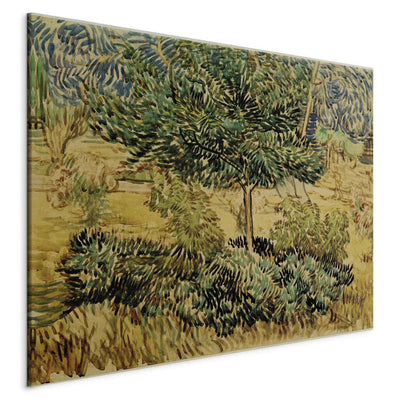 Maali reprodutseerimine (Vincent Van Gogh) - puit ja põõsad hooldekodus aias G Art