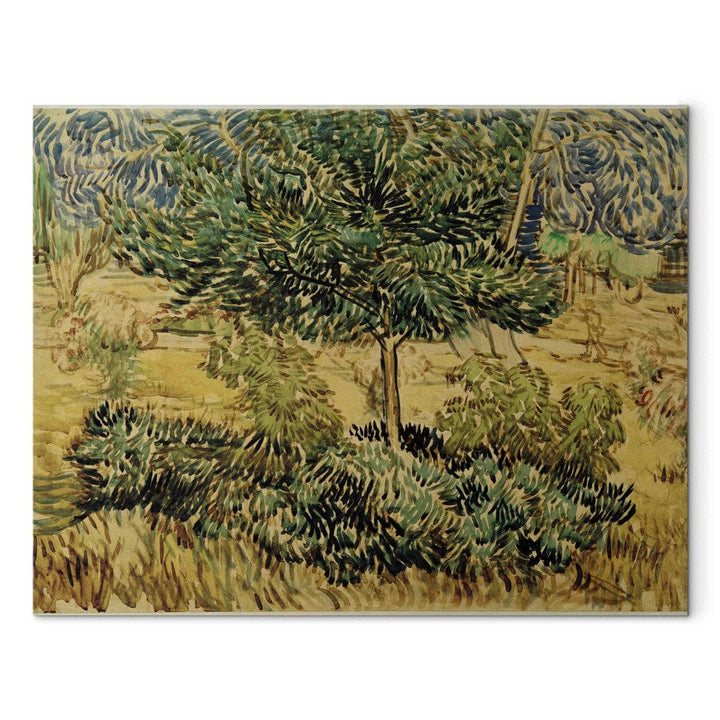 Gleznas reprodukcija /Vinsents van Gogs/ - Koks un krūmi pansionāta dārzā G ART