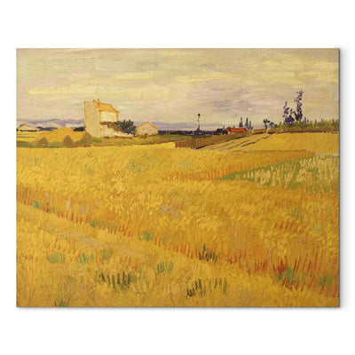 Tapybos atkūrimas (Vincentas Van Gogas) - kukurūzų lauko G menas