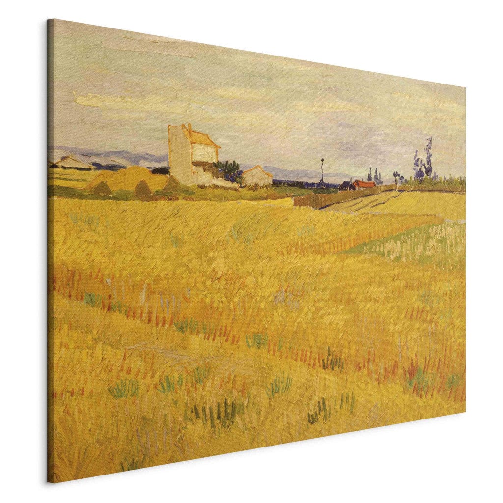 Gleznas reprodukcija /Vinsents van Gogs/ - Kukurūzas lauks G ART