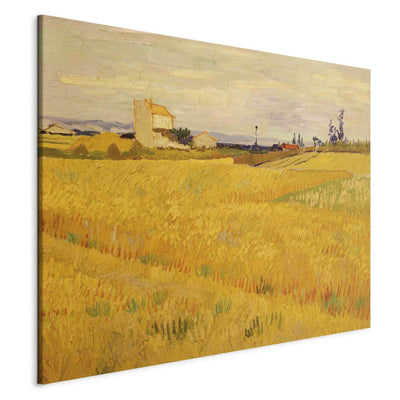 Maalauksen lisääntyminen (Vincent Van Gogh) - maissikenttä G Art