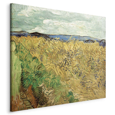 Maalauksen lisääntyminen (Vincent Van Gogh) - Vehnäkenttä, jossa on maalikukka G -taidetta