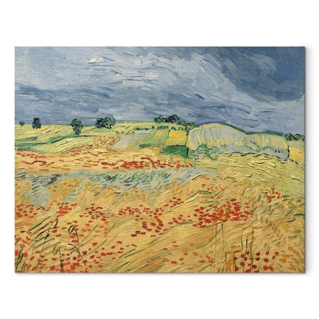 Gleznas reprodukcija /Vinsents van Gogs/ - Lauki ar ziedošām magonēm G ART
