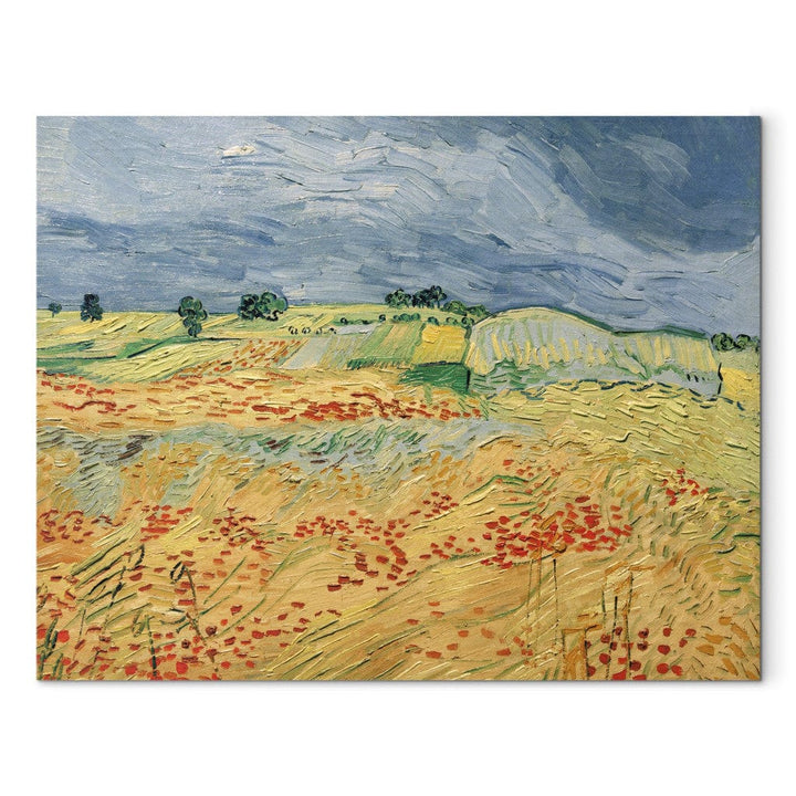 Gleznas reprodukcija /Vinsents van Gogs/ - Lauki ar ziedošām magonēm G ART
