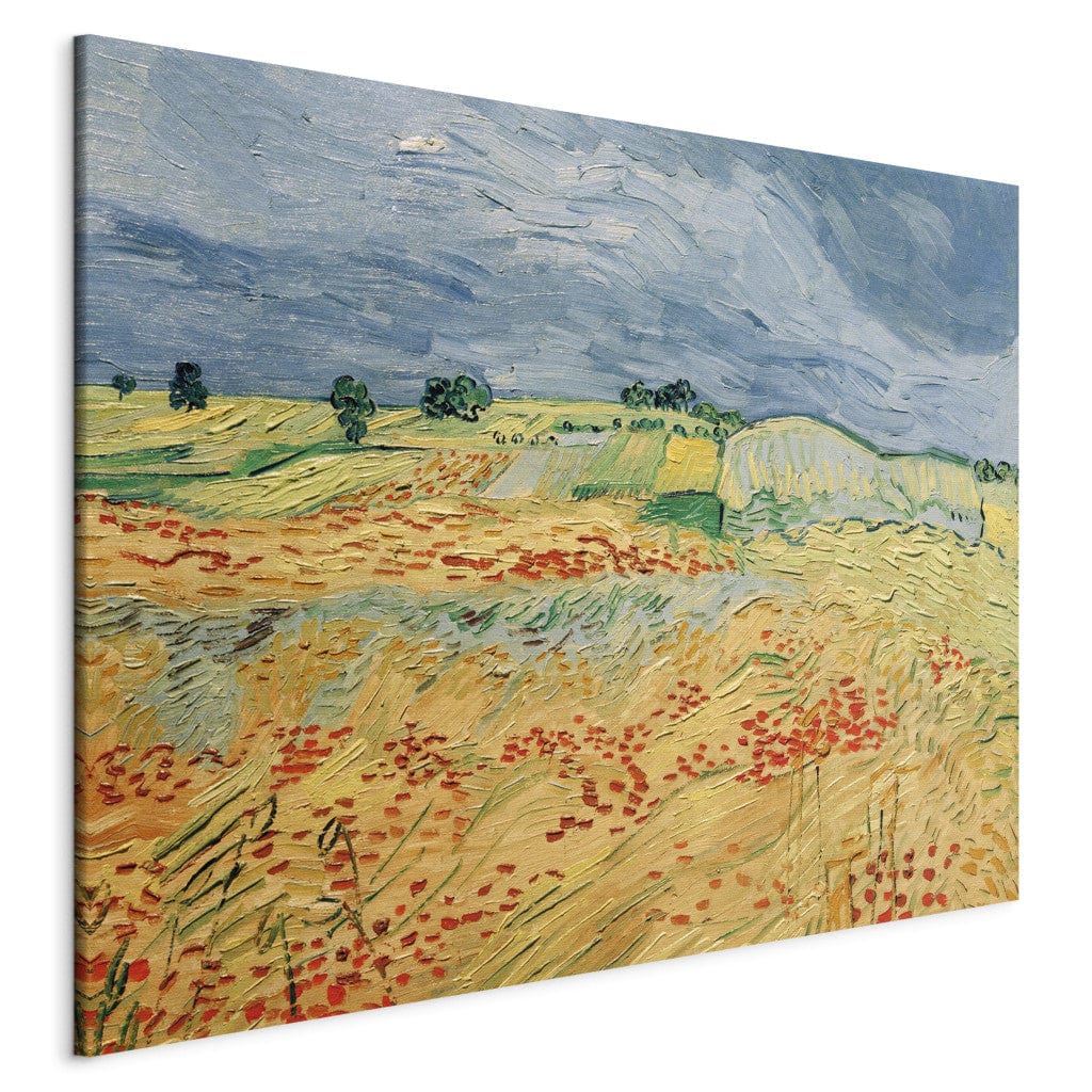 Gleznas reprodukcija /Vinsents van Gogs/ - Lauki ar ziedošām magonēm G ART