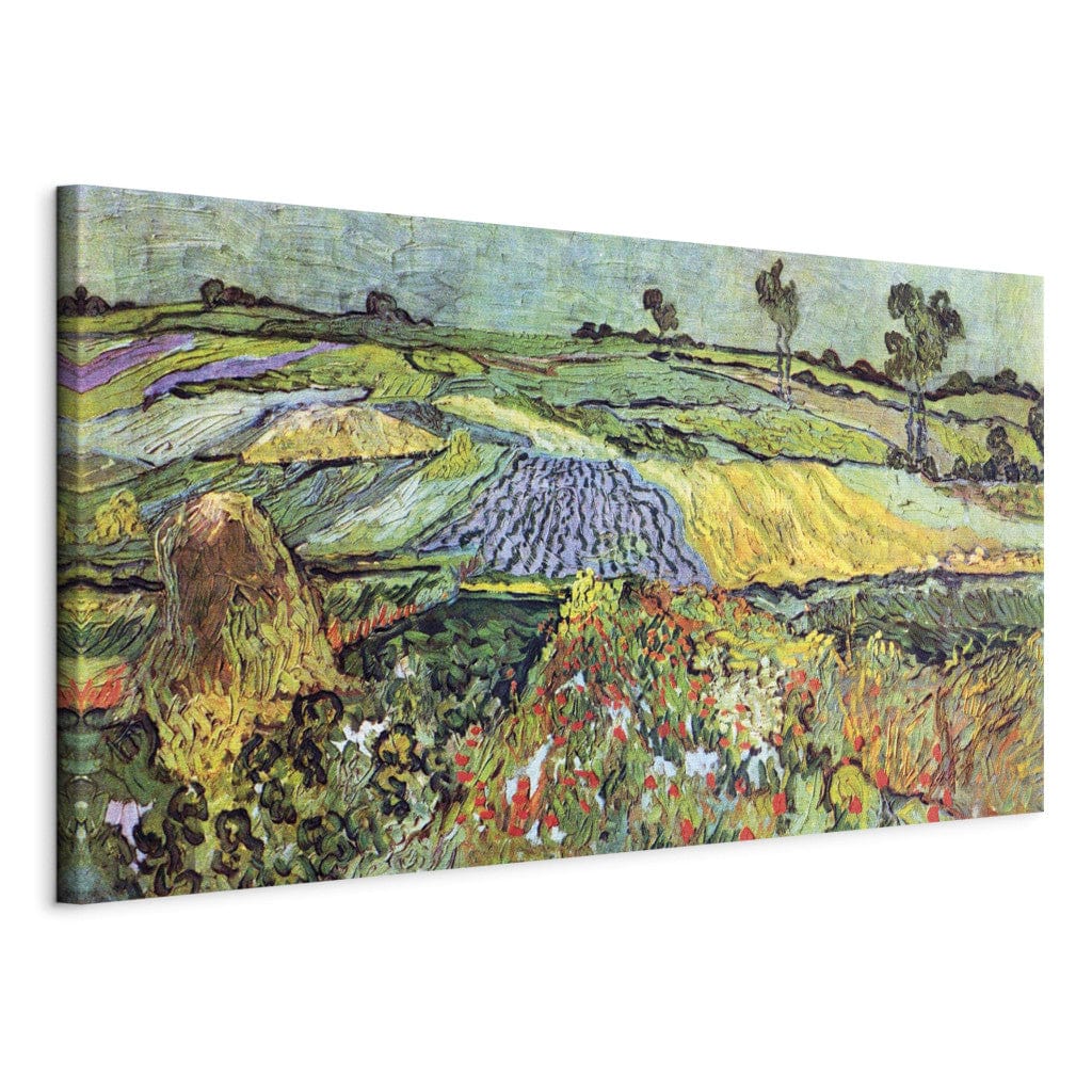 Gleznas reprodukcija /Vinsents van Gogs/ - Lauki Oversā G ART
