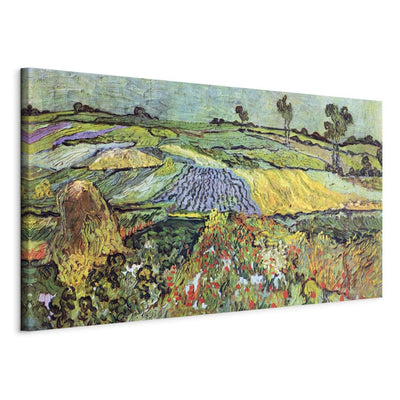 Maali reprodutseerimine (Vincent Van Gogh) - põllud ülem g kunsti
