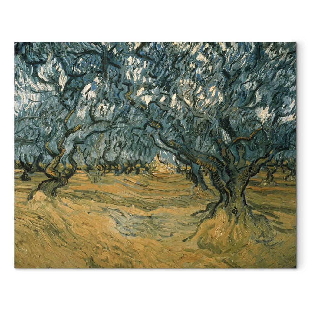 Gleznas reprodukcija /Vinsents van Gogs/ - Olīvkoki G ART