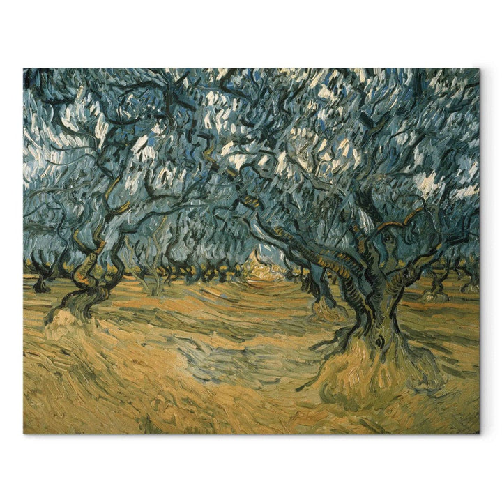 Gleznas reprodukcija /Vinsents van Gogs/ - Olīvkoki G ART